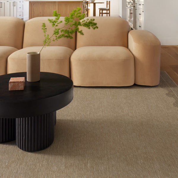 Tapis tissé plat moderne et minimaliste, avec cadre festonné beige lavable, aspect noué à la main, pour chambre et salon